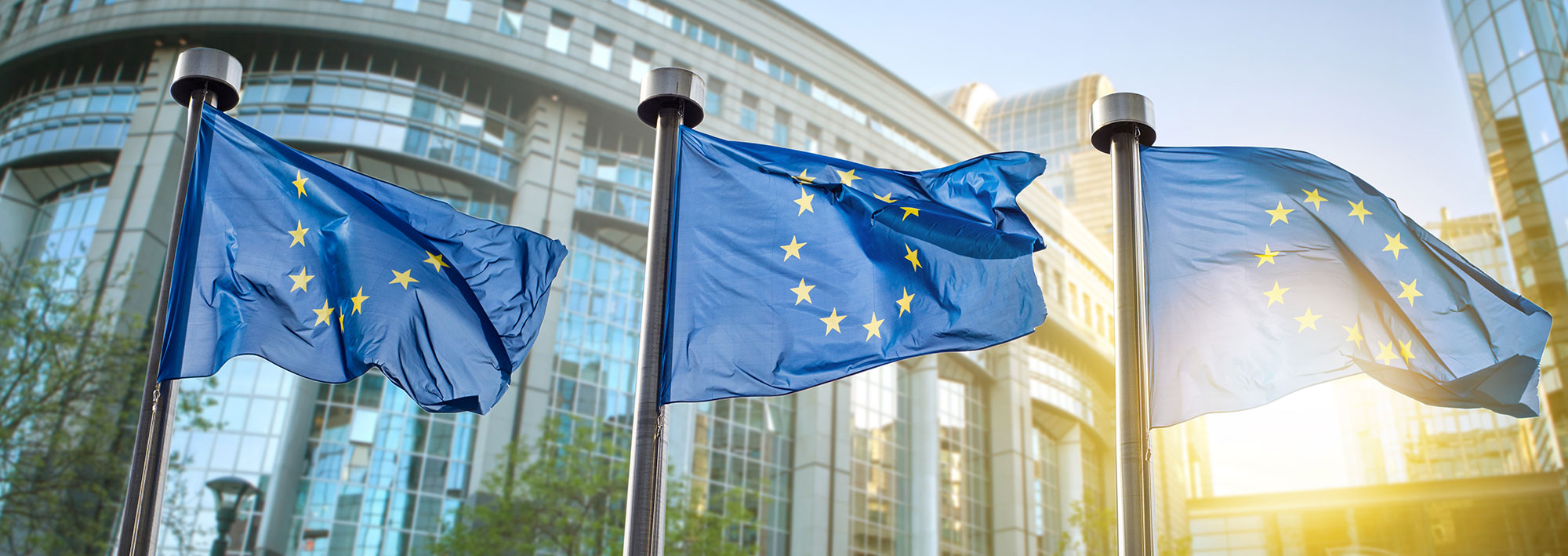imatge de portada de la noticia de pràctiques d''ECIU a brussel·les